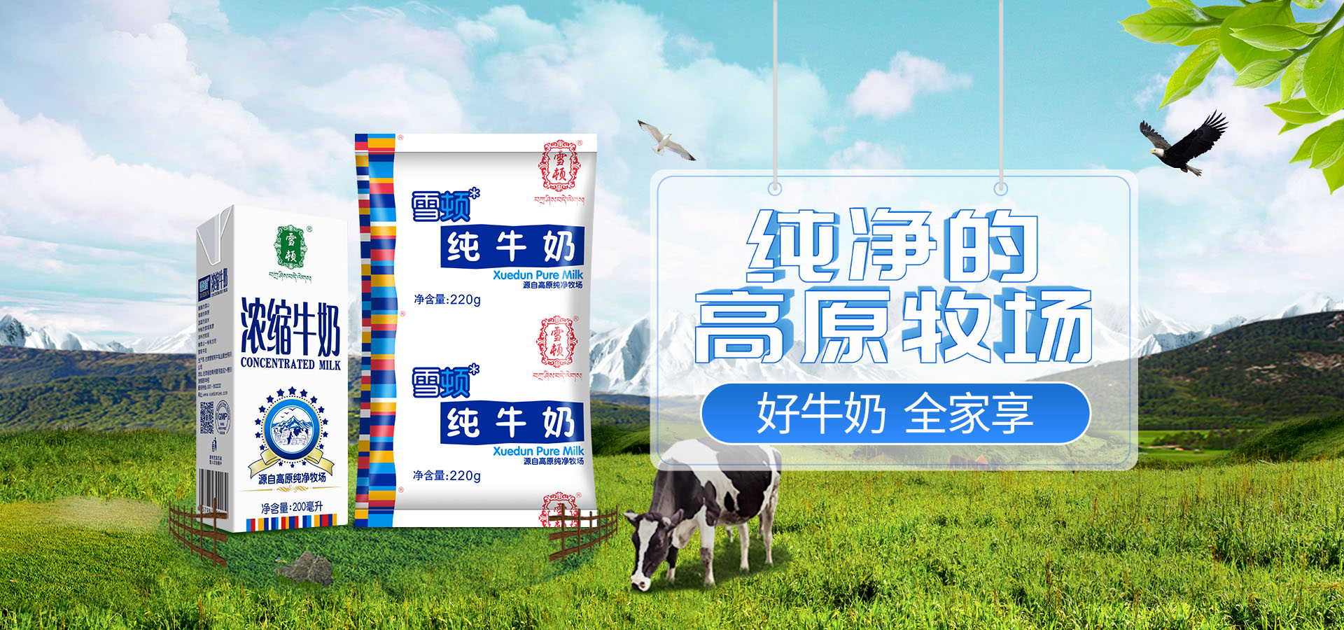 甘肃雪顿牦牛乳业股份有限公司首页大图