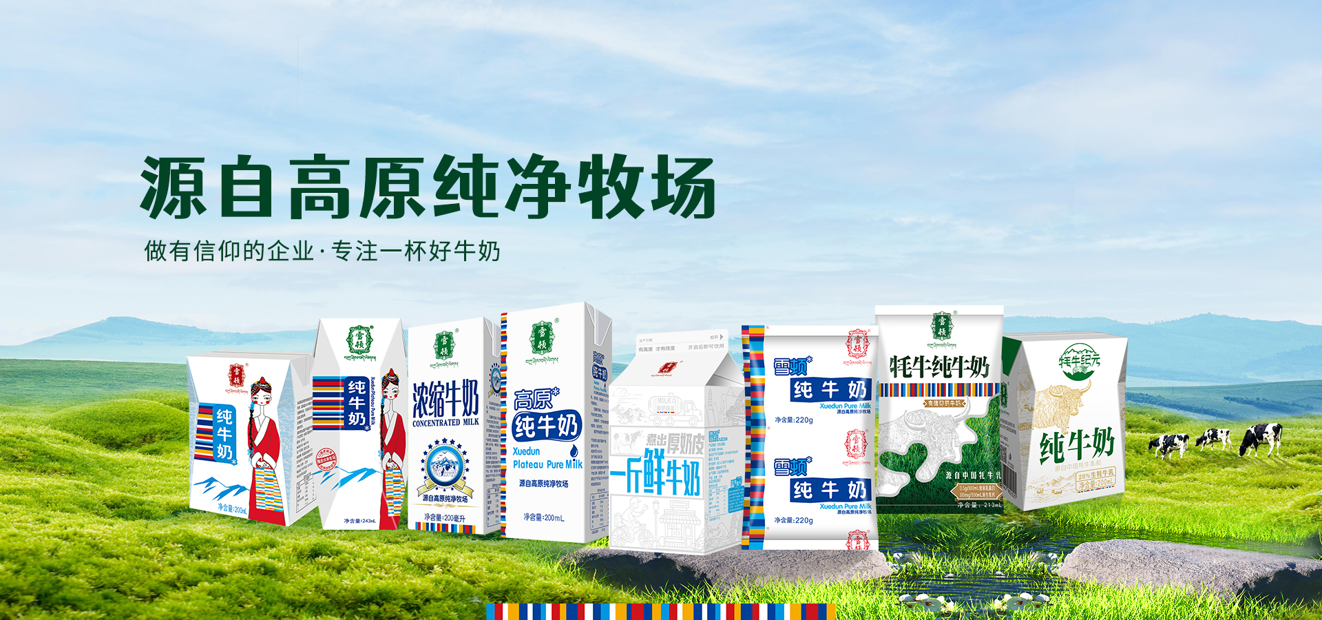 大图4